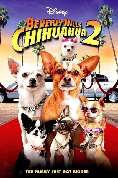 ดูหนังออนไลน์ฟรี Beverly Hills Chihuahua 2 (2011) คุณหมาไฮโซ โกบ้านนอก ภาค 2